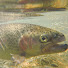 Rp9wk6hVODM-channel-avatar-masaaky fishing チャンネル