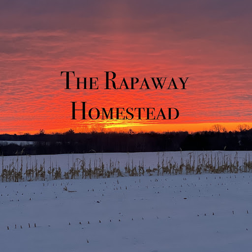 The Rapaway Homestead
