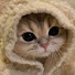 Am_mC9VMlNA-channel-avatar-ikio