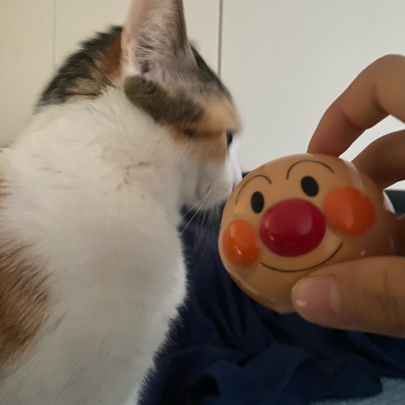むじかの大爆笑ch