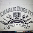mPk9Vum9U8E-channel-avatar-Charlie does it