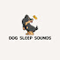 Dog Sleep Sounds