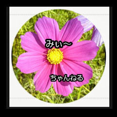 みぃ〜チャンネル