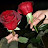 @ابوهاشمو-ر1ك