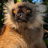 9g6bKGwbCkU-channel-avatar-Séb "life is good"
