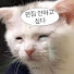 QSlV0h3K8kY-channel-avatar-ᄉᄐ