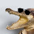 Gator in Sunglasses