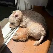 ら