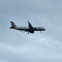 FlightRadarCatches