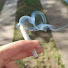 ua47Omdl76s-channel-avatar-rufflws - Topic
