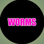 Worms Zone Snake Video logo