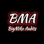 BigMike Audits logo