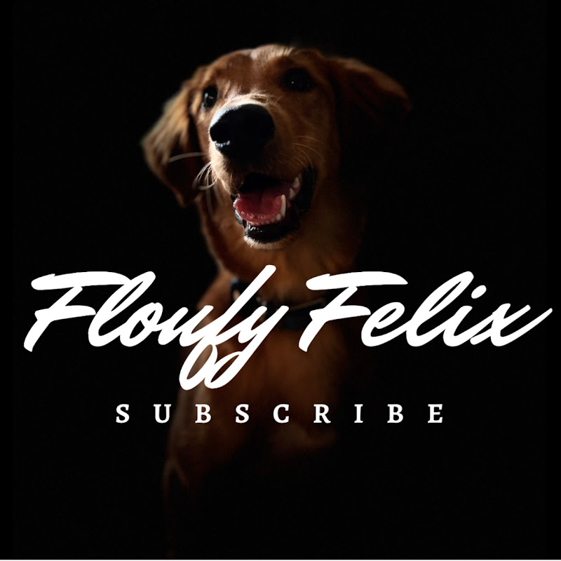 Felix Da Floufy Golden