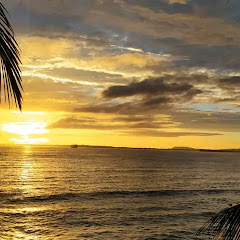 Mildred@Htgs55 channel thumbnail