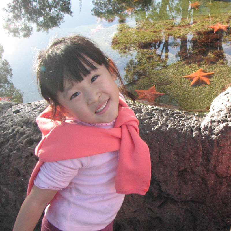 Hannah Zhao