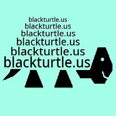 blackturtleshow
