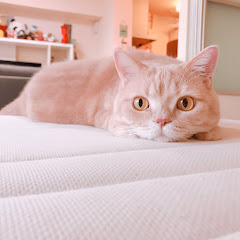 かじじ