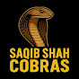 Saqib shah cobras logo