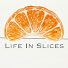 dazZ0b62GXI-channel-avatar-LifeInSlices