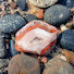 QPI1hjn-Vkc-channel-avatar-Upper Peninsula Beautiful