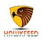 HawkFeed News channel logo