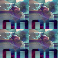 thumbnail img1x1