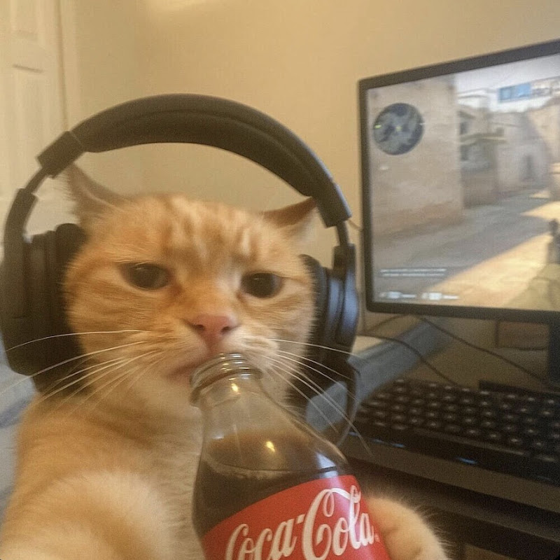 DRANZER