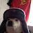 @thesovietdogo