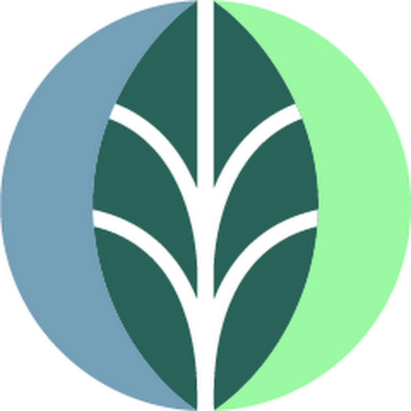Insinc Products Ltd icon