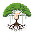 rFYAaqiPCFs-channel-avatar-Curious banyan 