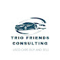 Trio Friends Consulting logo