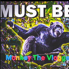 Monkey bot Vlogger 
