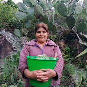 Las Curiosidades de Marcelina