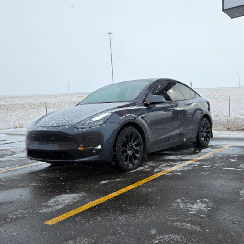 TaylorOnWheels