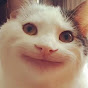 Tiky Tok Avatar