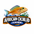 Z5P9n_M6xMw-channel-avatar-Chris & Lindsey | African Cichlid Haven