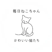 毎日ねこちゃん動画🐱