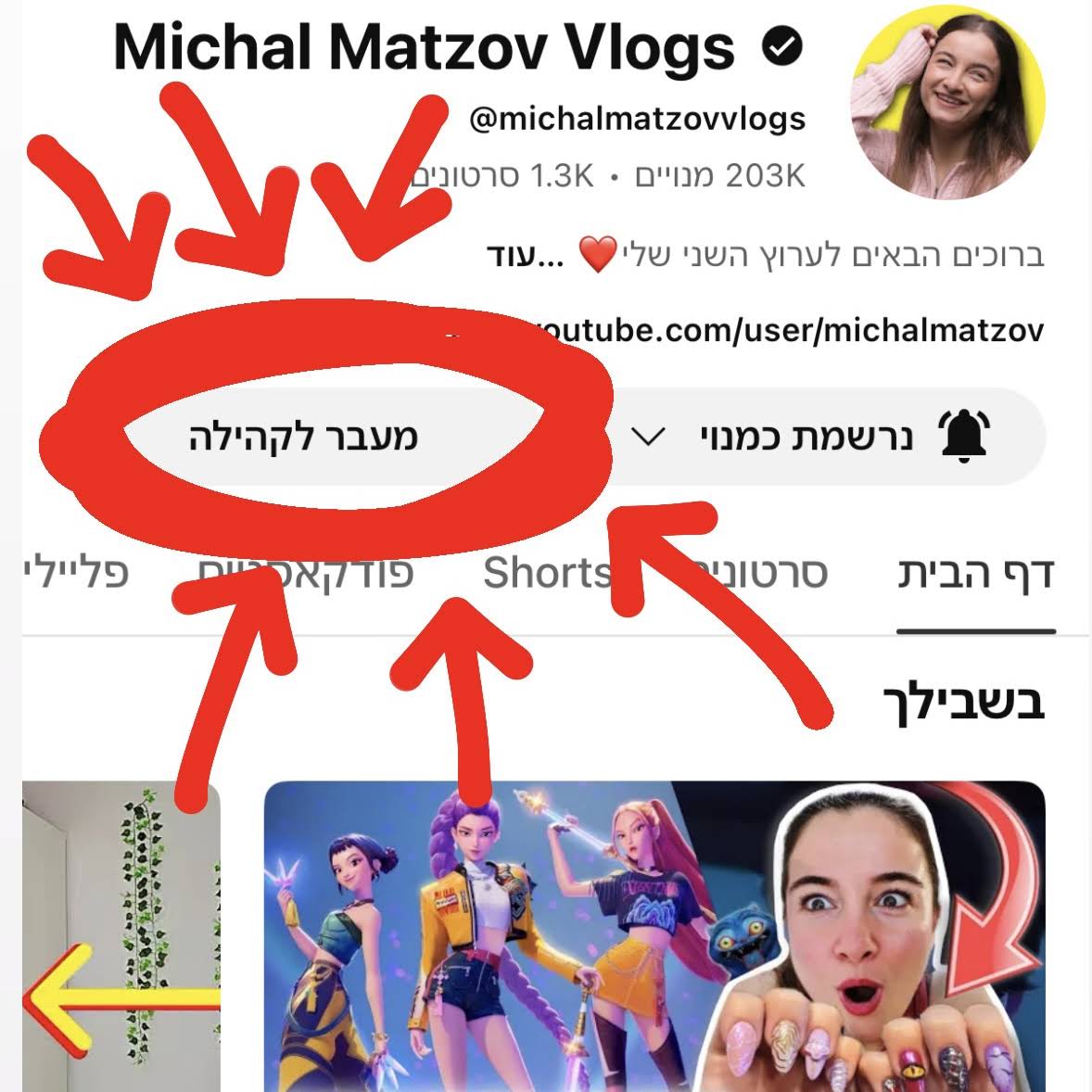 Post from Michal Matzov Vlogs