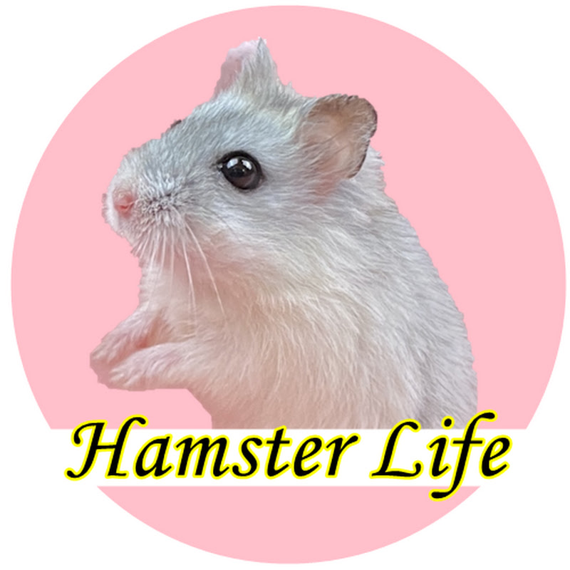 Hamster Life