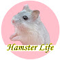 Hamster Life