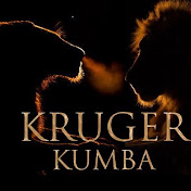 Kruger Kumba Travels