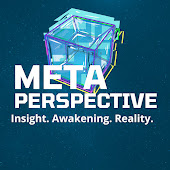 Meta Perspective