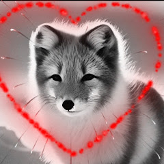 토레스 강TV월수금pm7시