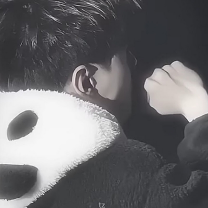 panda tv