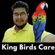 King Birds Care
