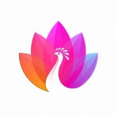 Essence of Universe