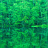 FJz0jEmoNAQ-channel-avatar-Dear Nature