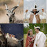 c5Bhse6QvyM-channel-avatar-Golden hunza 