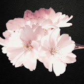 Elegance On A Budget