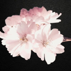 Elegance On A Budget